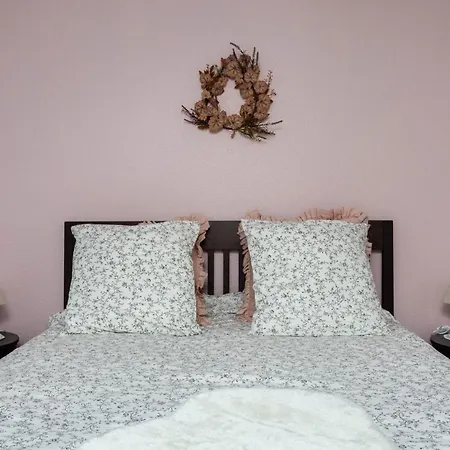 La Kokot D'alsace 2p Centre Proximite Cathedrale Appartement Straatsburg