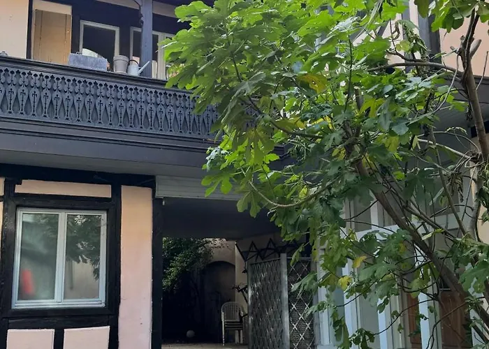 La Kokot D'alsace 2p Centre Proximite Cathedrale Straatsburg