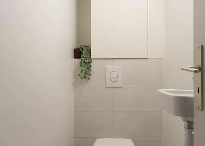 La Kokot D'alsace 2p Centre Proximite Cathedrale