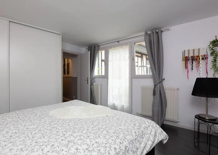 La Kokot D'alsace 2p Centre Proximite Cathedrale Appartement