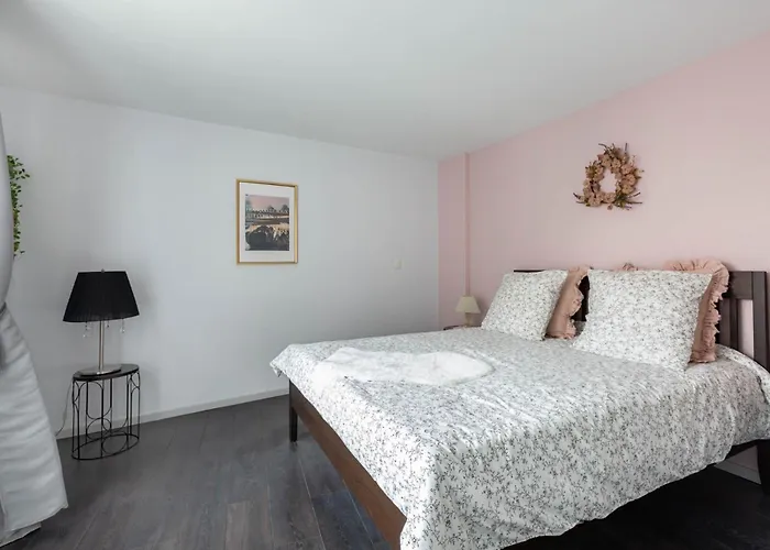 Appartement La Kokot D'alsace 2p Centre Proximite Cathedrale