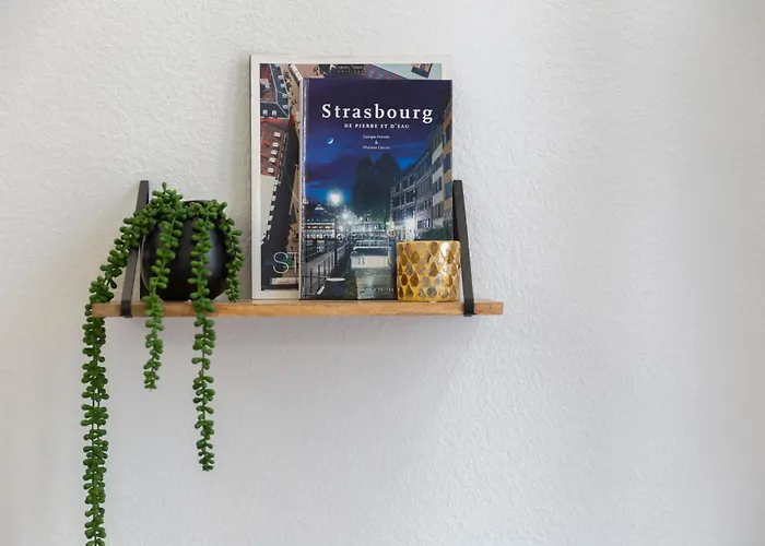 Appartement La Kokot D'alsace 2p Centre Proximite Cathedrale *