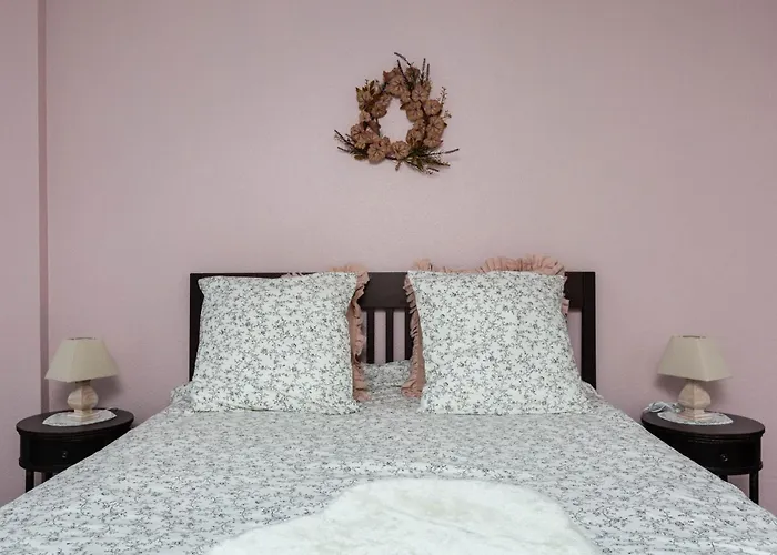 La Kokot D'alsace 2p Centre Proximite Cathedrale Appartement Straatsburg