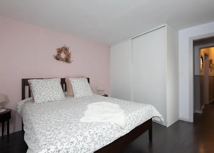 Apartman La Kokot D'alsace 2p Centre Proximite Cathedrale Strasbourg