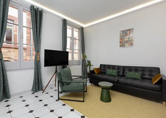 La Kokot D'alsace 2p Centre Proximite Cathedrale Straatsburg